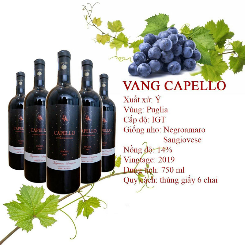 vang-capello